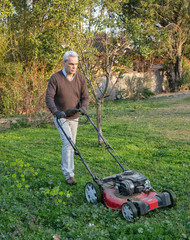 Man with lawnmower