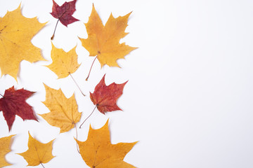 Autumn composition Dry autumn leaves on white background Flat lay, top view, copy space