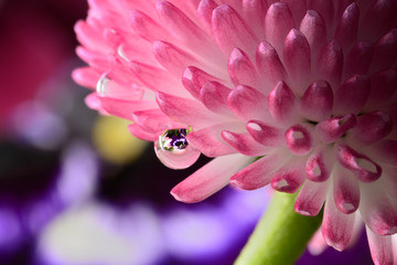 Gentle reflection on the water droplets macro photo