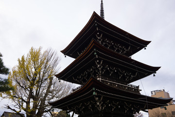 Fototapeta na wymiar Hida Kokubunji Temple Takayama - Heritage Temple over 1200 years old.
