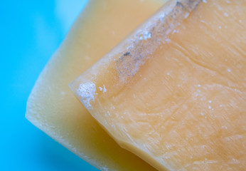 Mold close-up macro. Moldy fungus on food. Fluffy spores mold as a background or texture. Mold fungus. Mold on cheese.