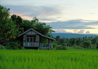 traditional thai style cottage in countryside at Thailand.