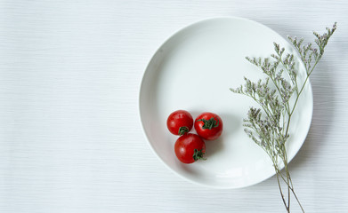 Fresh red tomatoes and dried flower with white dish on isolated white and gray line background.