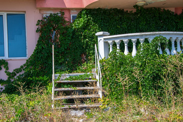 Abandoned hotel on the beach, covered in green grass and climbing ivy plant, nature take over...