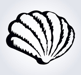 Shell with a pearl. Vector drawing