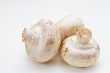 Fresh champignon mushrooms on a white background, macro.