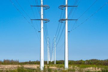 A long line of new high-voltage pylons in the Bentwoud near Zoetermeer, the Netherlands