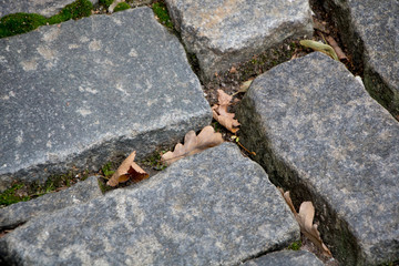 Stone pavement texture. Granite cobblestoned pavement background.  Cobbled stone road regular shapes, abstract background of old cobblestone pavement close-up. Fall.