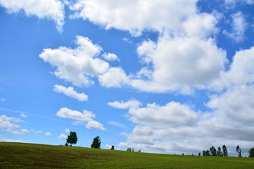 雲と空と大地～木々の上で