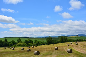 雲と空と大地～牧草ロール