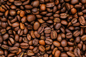 roasted coffee beans, can be used as a background
