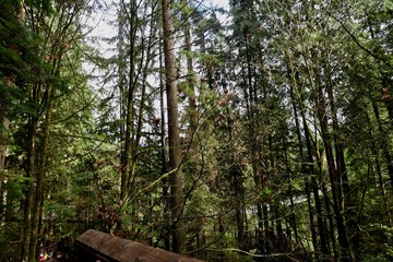 capilano suspension bridge 