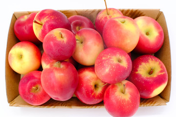 Local New Zealand apple on white background