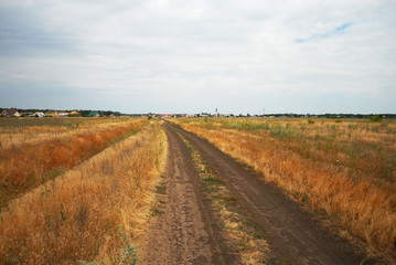 Fototapeta na wymiar Dirt dusty road in the steppe on a cloudy summer day.