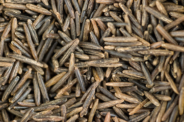 Black rice background