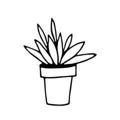 Potted houseplant hand drawn in doodle style. element vector graphic scandinavian hygge monochrome minimalism simple. cozy home, interior, plant, flower, pot, gardening. design icon, card