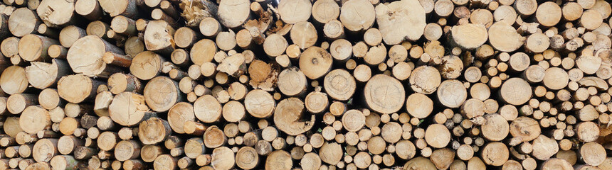 round teak wood stump background