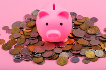Coins with piggy bank on pink background -Saving Concept.
