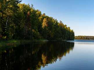 forest reflected in the water on a sunny summer day