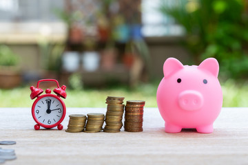 Pig piggy bank and coins and clock on nature blur background. saving money concept.