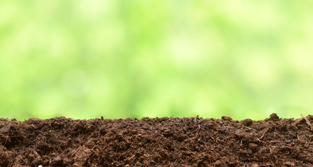 Black soil or substrate border on blurred green background 