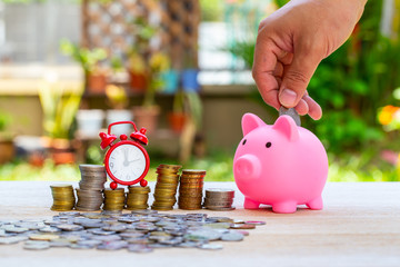 Pig piggy bank and coins and clock on nature blur background. saving money concept.