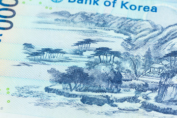 detail of a 1000 south korean won bank note reverse