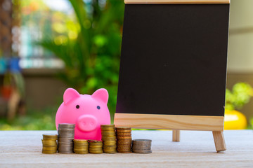 Pig piggy bank and coins and clock on nature blur background. saving money concept.