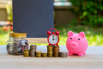 Pig piggy bank and coins and clock on nature blur background. saving money concept.