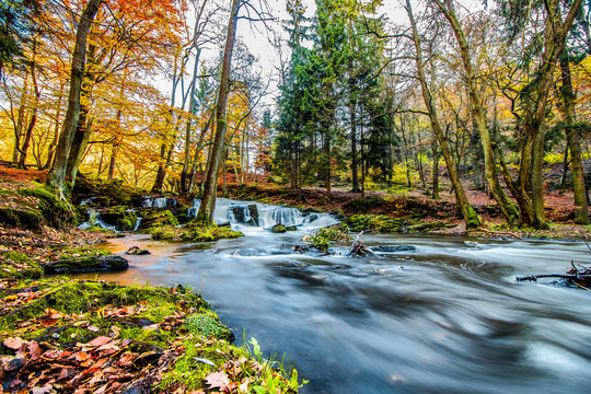 Selkefall