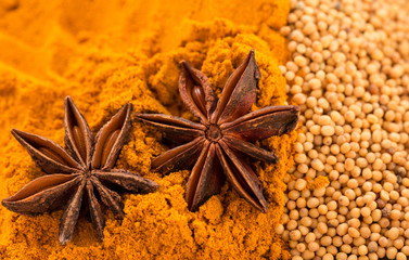 Different spices. Star anise, mustard seeds and turmeric powder. Macro