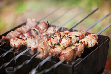 Tasty juicy meat with grilled onion rings outdoors. Street food festival. Catering service on celebration.	