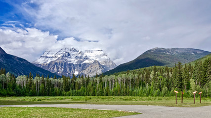 panoramic view of the scenic Robson mountain and pine forest in summer, Canadian Rocky mountains, British Columbia, Canada