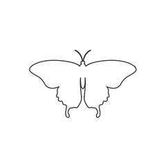 butterfly icon vector illustration design