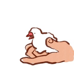 手に乗った文鳥