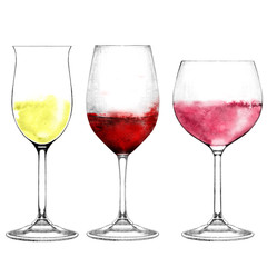 Collection of white, red and rose wine. Glass of white, red, rose wine isolated on white. Hand drawn alcohol beverage. Drinks for bar and restaurant menu, recipes, flyers.