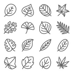 Leaf icon set vector illustration. Contains such icon as Ginko, Leaf, Autumn, Leaves, Aloe, Botany and more. Expanded Stroke