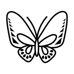 beautiful butterfly insect line style icon