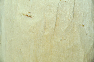 Structure and texture, birch