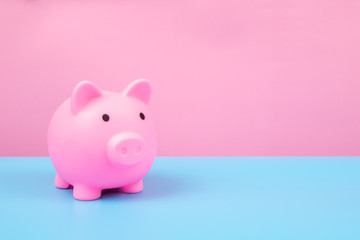Pink Piggy bank on harmony background.