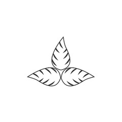 leaves icon vector illustration design