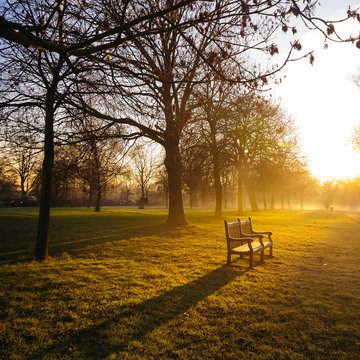 Bench By Bare Trees On Grassy Field During Sunrise