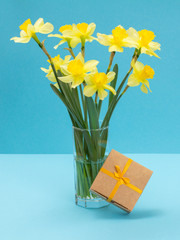 Bouquet of yellow daffodils in vase and a gift box on a blue background.