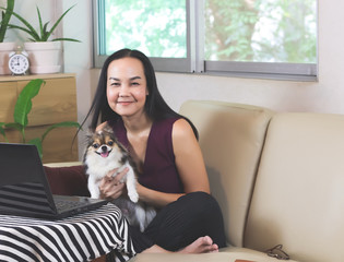 Asian woman sitting on couch in living room with  computer notebook  holding  Chihuahua dog looking and smiling at camera , work from home , social distancing concept.