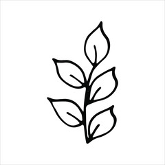 Floral silhouettes. Hand drawn tree branches with leaves. Black and white botanical illustration. Doodle vector illustration.	