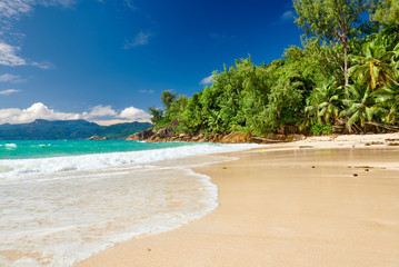 Beautiful Anse Soleil beach with palm tree at Seychelles