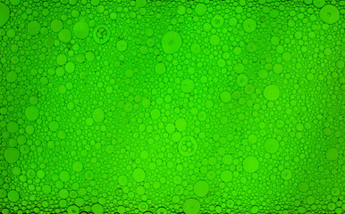 Light green abstract background with bubbles