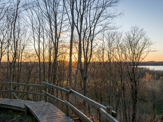 landscape with large trees, pedestrian wooden footbridges and view from above, beautiful sunset colors in spring