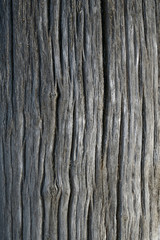 Texture of an old, dried-up tree trunk with vertical patterned background; color photo.