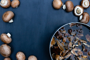 Mushroom soup on a dark blue background